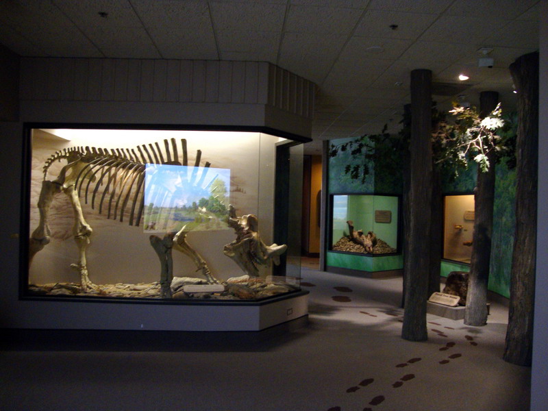 090803_06_royalsaskatchewanmuseum