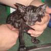 101024_01_penny_bath
