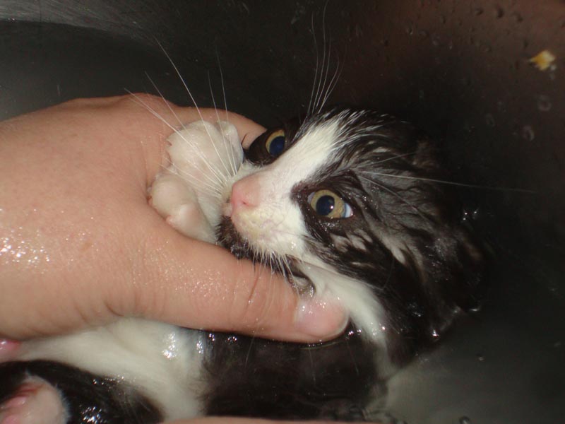 101024_04_sheldon_bath