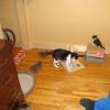 101025_05_rider_sheldon