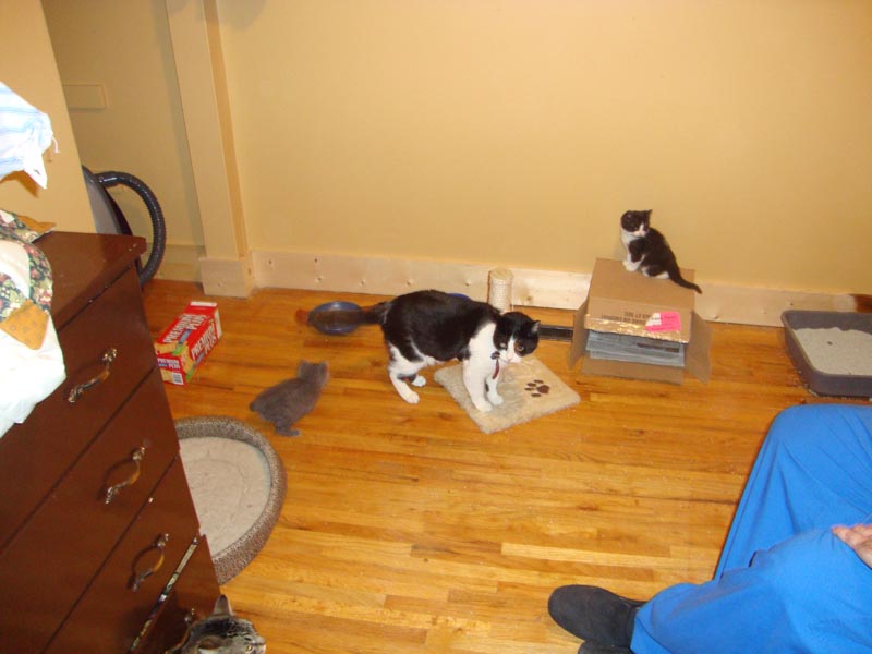 101025_05_rider_sheldon