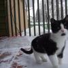 101130_02_sheldon