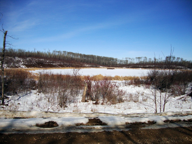 100313_36_moosemountain