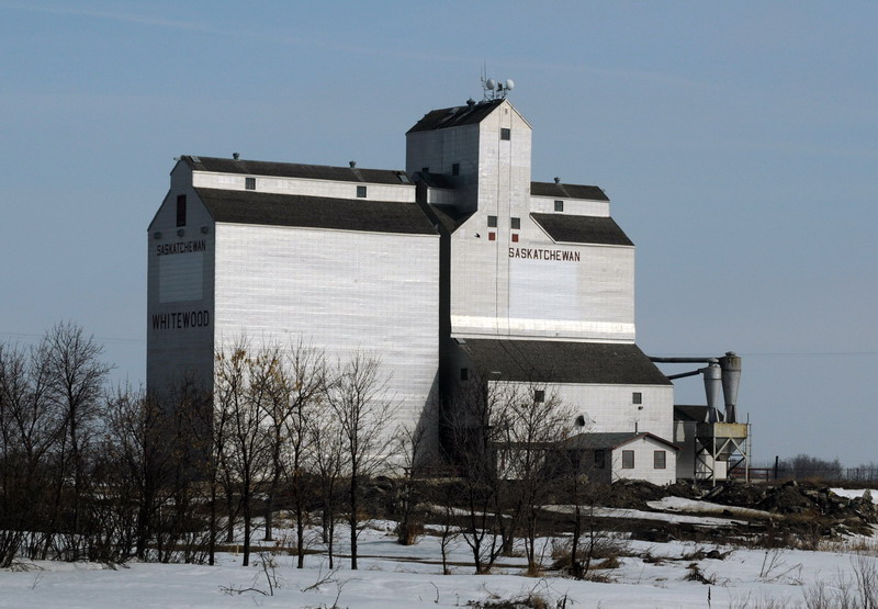100314_19_whitewood