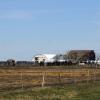 100507_004_buffalopoundarea