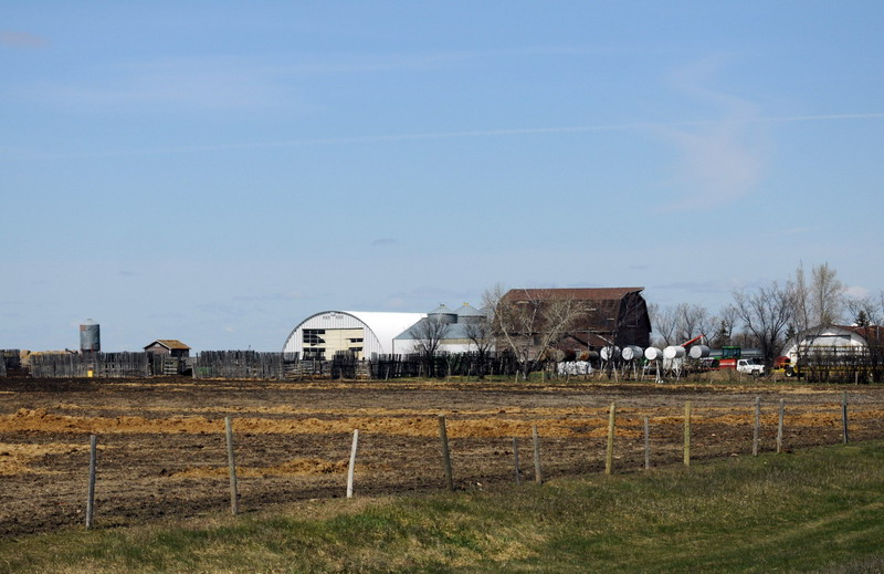 100507_004_buffalopoundarea
