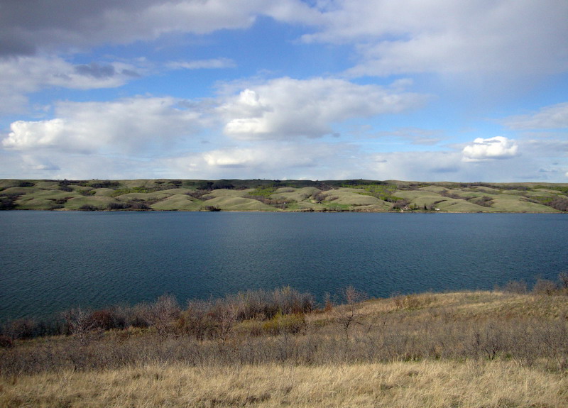 100507_020_buffaloviewcampground