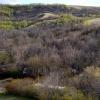 100507_025_buffaloviewcampground