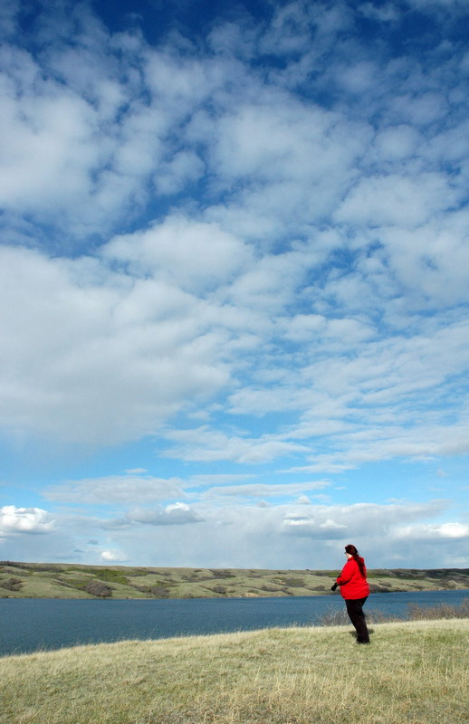 100507_031_buffaloviewcampground