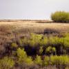 100507_042_buffaloviewcampground