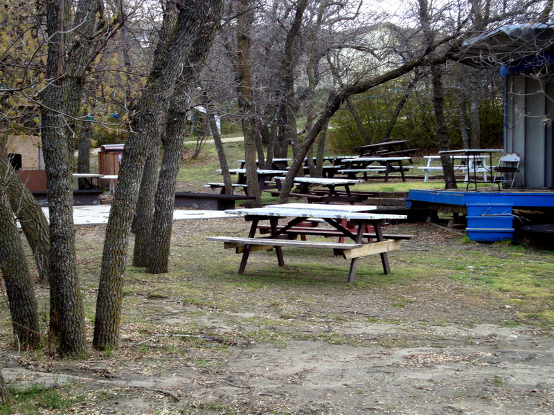 100507_047_buffaloviewcampground