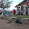 100507_058_buffaloviewcampground