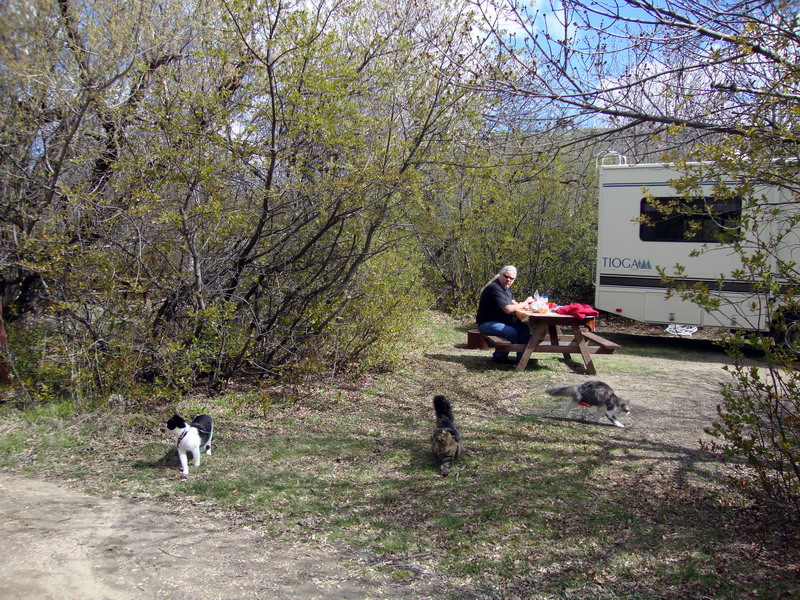 100508_04_buffaloviewcampground