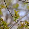 100508_35_buffaloviewcampground