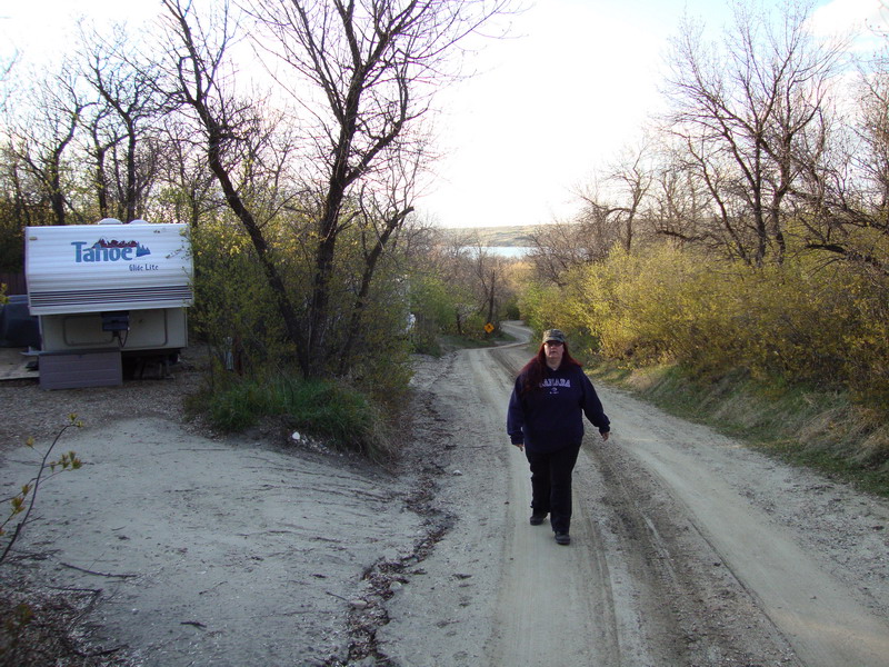 100508_41_buffaloviewcampground