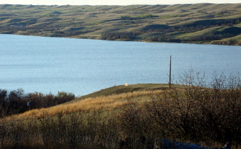 100508_48_buffaloviewcampground