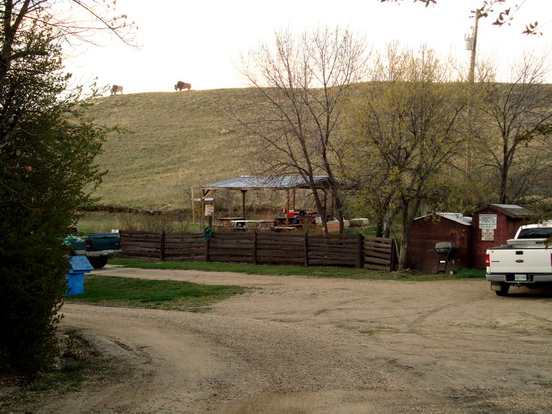 100508_57_buffaloviewcampground
