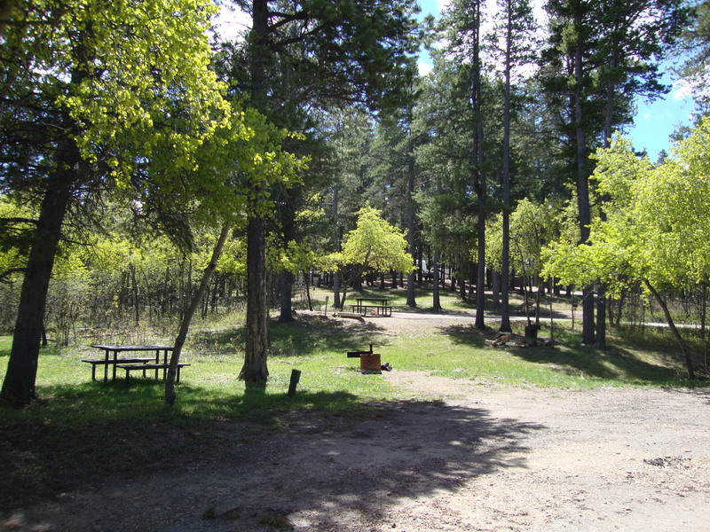 100603_02_cypresshills