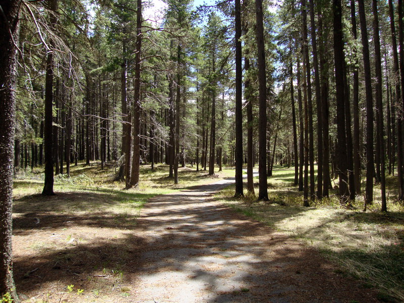 100603_09_cypresshills