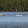 100603_36_cypresshills_lochleven