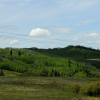 100604_002_cypresshillsarea