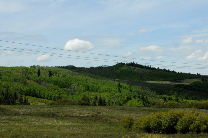 100604_002_cypresshillsarea