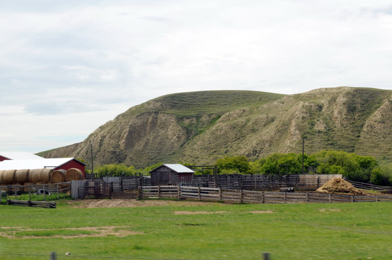 100604_011_cypresshillsarea