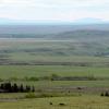 100604_031_cypresshills_westblock
