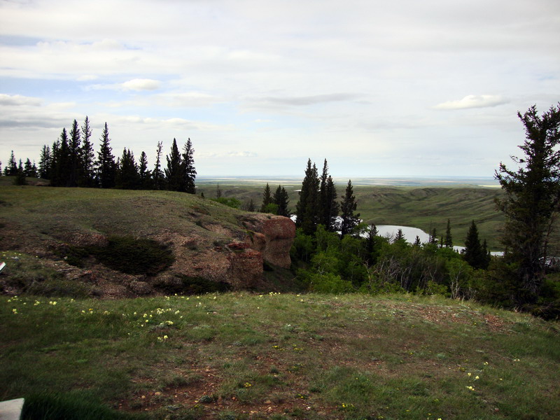100604_092_cypresshills_conglomeratecliffs