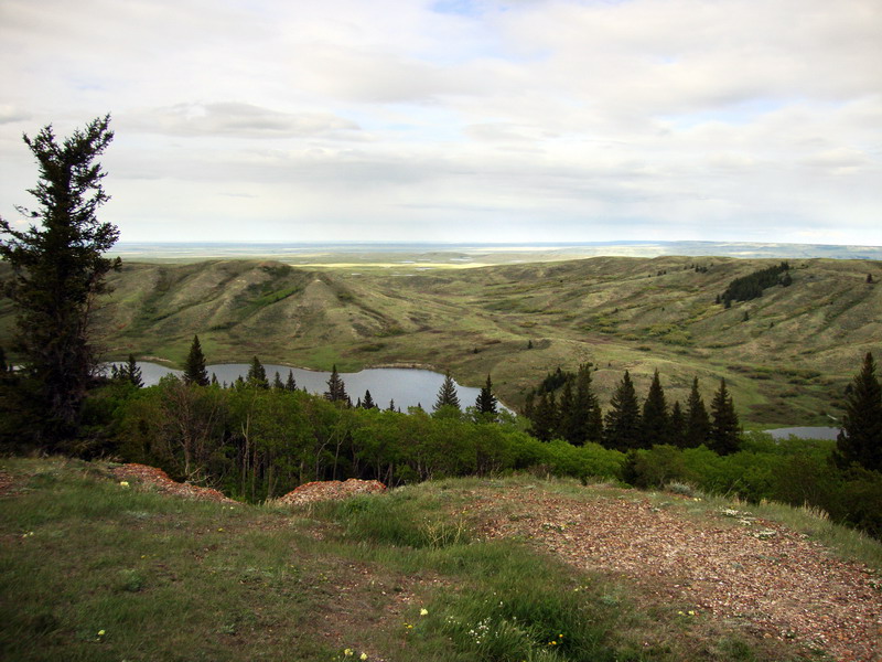 100604_093_cypresshills_conglomeratecliffs