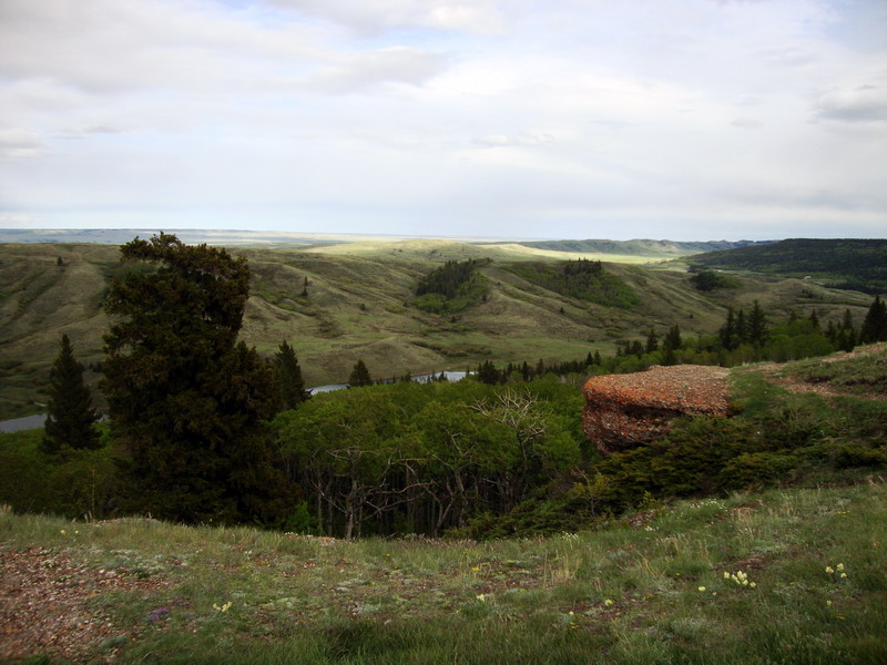 100604_094_cypresshills_conglomeratecliffs
