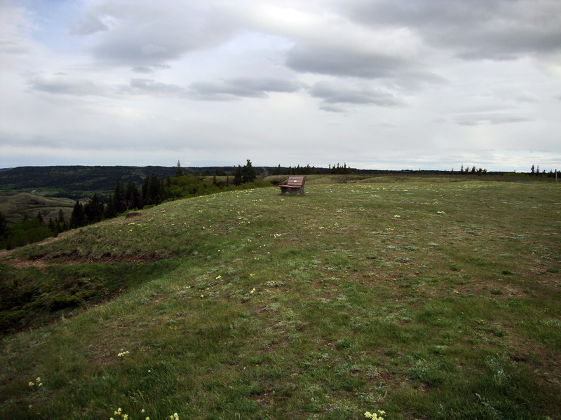 100604_095_cypresshills_conglomeratecliffs