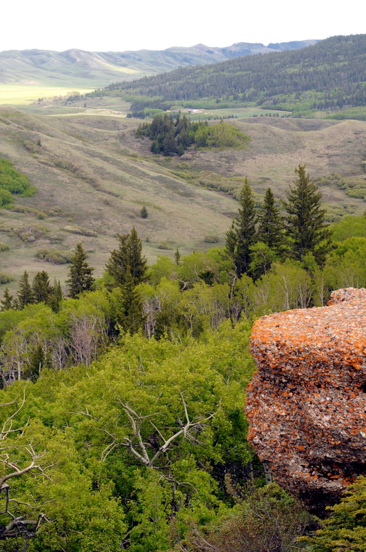 100604_097_cypresshills_conglomeratecliffs
