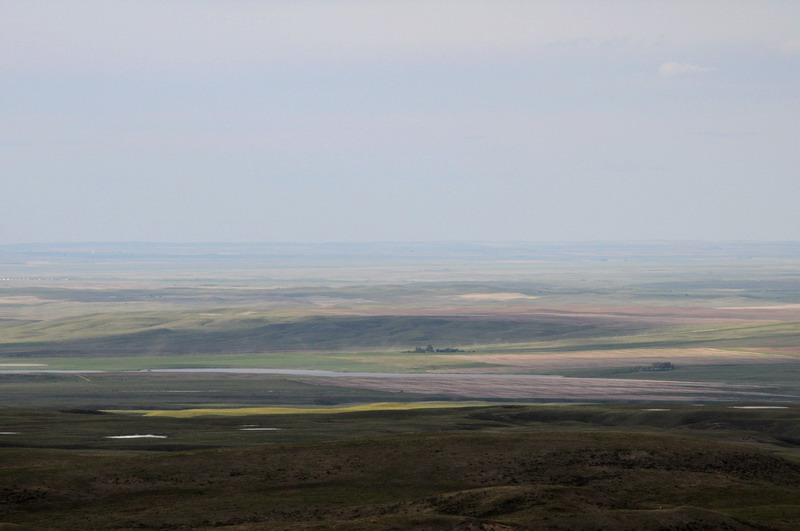 100604_099_cypresshills_conglomeratecliffs