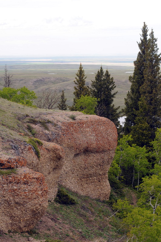 100604_101_cypresshills_conglomeratecliffs