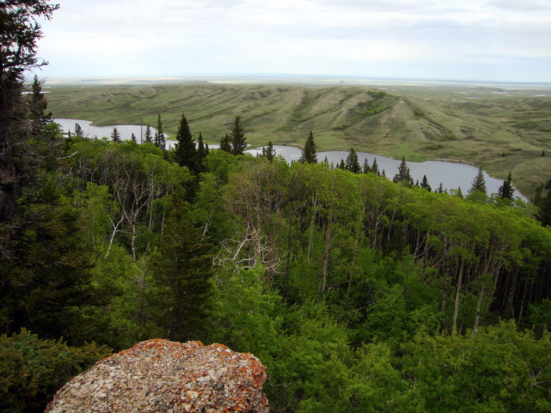 100604_104_cypresshills_conglomeratecliffs