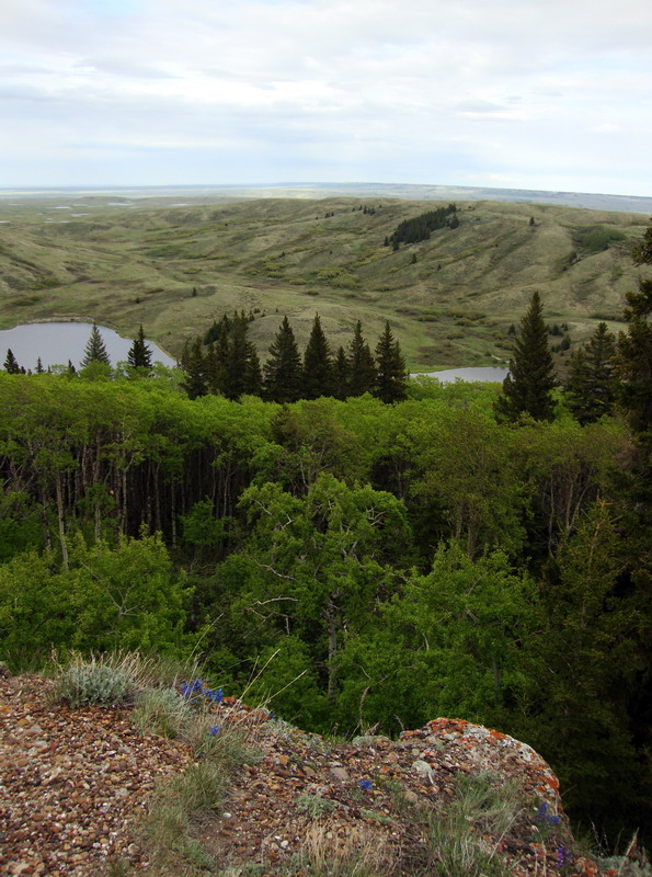 100604_106_cypresshills_conglomeratecliffs