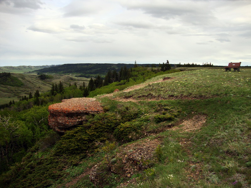 100604_109_cypresshills_conglomeratecliffs