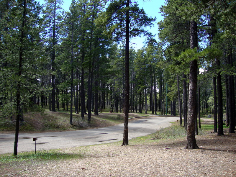 100605_03_cypresshills