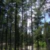 100605_07_cypresshills