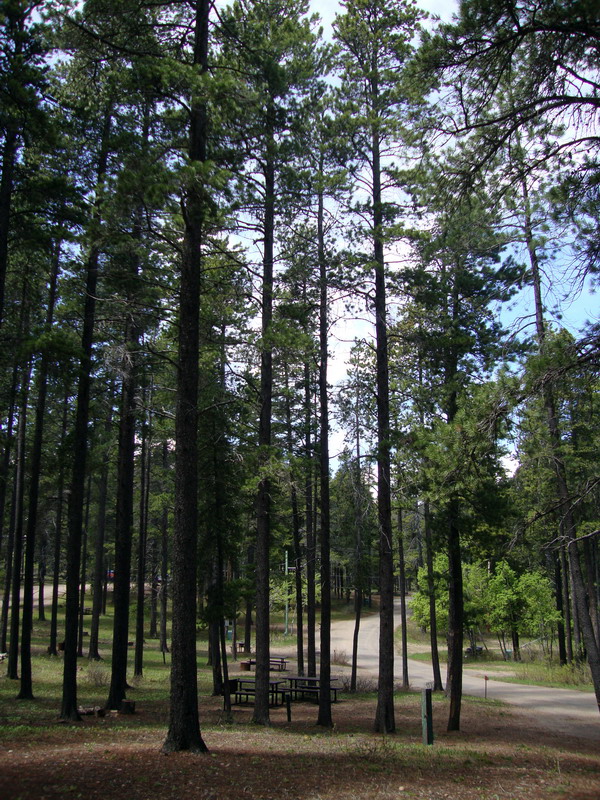 100605_07_cypresshills
