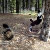 100605_10_cypresshills