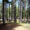 100605_13_cypresshills