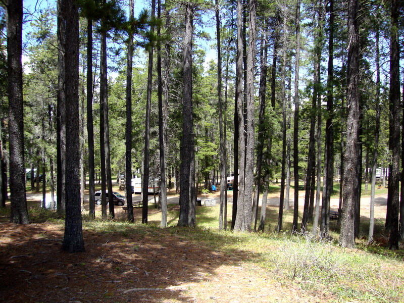 100605_13_cypresshills