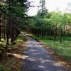 100605_28_cypresshills