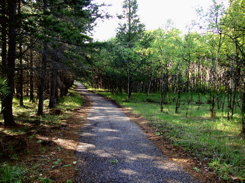 100605_28_cypresshills