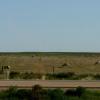 100606_05_highway1_pronghorn