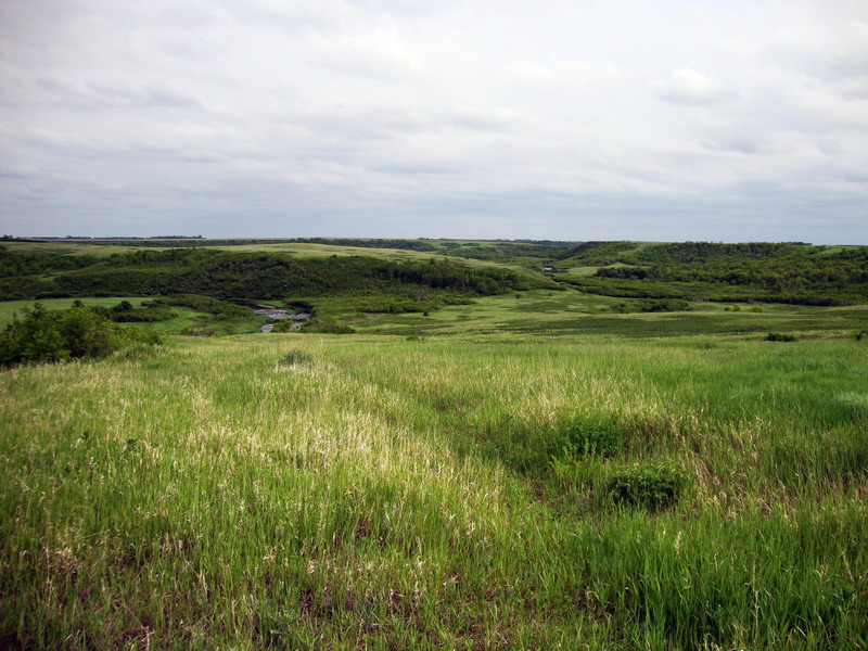100609_07_wa