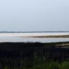 100618_27_douglas