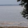 100618_43_douglas